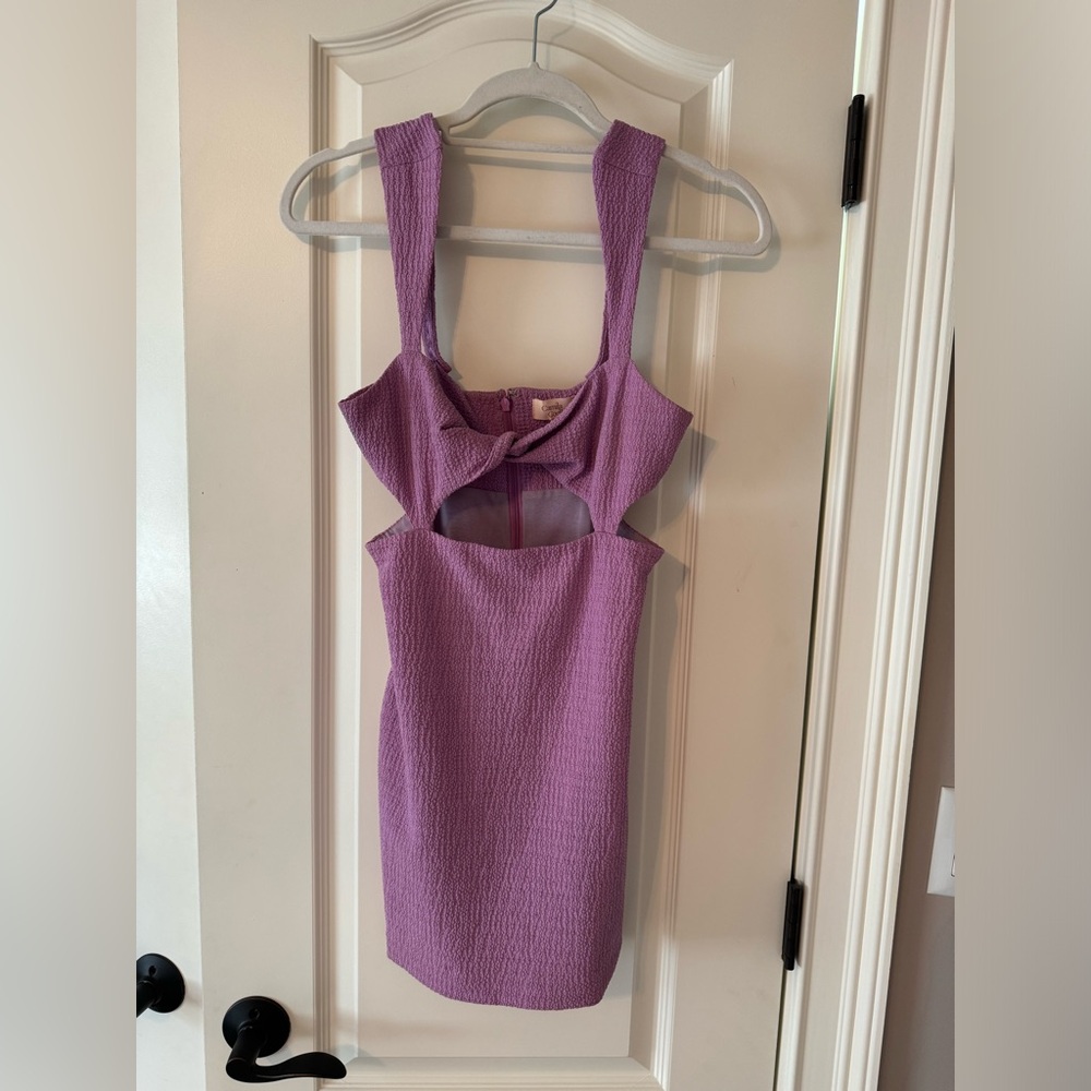Camila Coehlo cutout bodycon dress